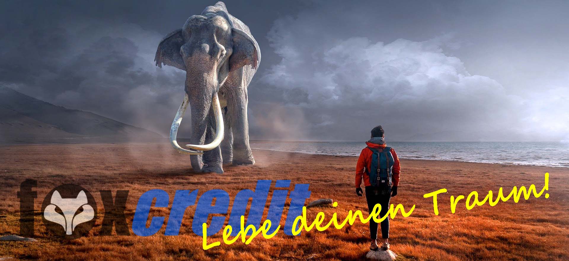 Wie wäre es mit einer eigenen Harley-Davidson? Traum, Fantasie, Geldautomat, Bankomat, Bancomat, ATM, Crowdlending, Lend, Maximalzins, Zinsobergrenze, Fuchs, Bankgeheimnis, Kreditregister, Gold, Sparen, Milliardär, Leitzins, Foxcredit, Finanzierung, loan, Leasing, Zinssatz, Hypothek, Bank, Bankkonto, Bitcoin, Finanzjongleure, Eurozone, Euro, Franken, Krypto, Dollar, Umschuldungskredit, Ratenkredit, Privatkredit, Kleinkredit, Budget, Reichtum, Milliarden, Pfandleihhaus, Festgeld, Bafin, Bankenaufsicht, Kreditwürdigkeit, WebTech, Website Design, Website Flaterate, webtech2web,